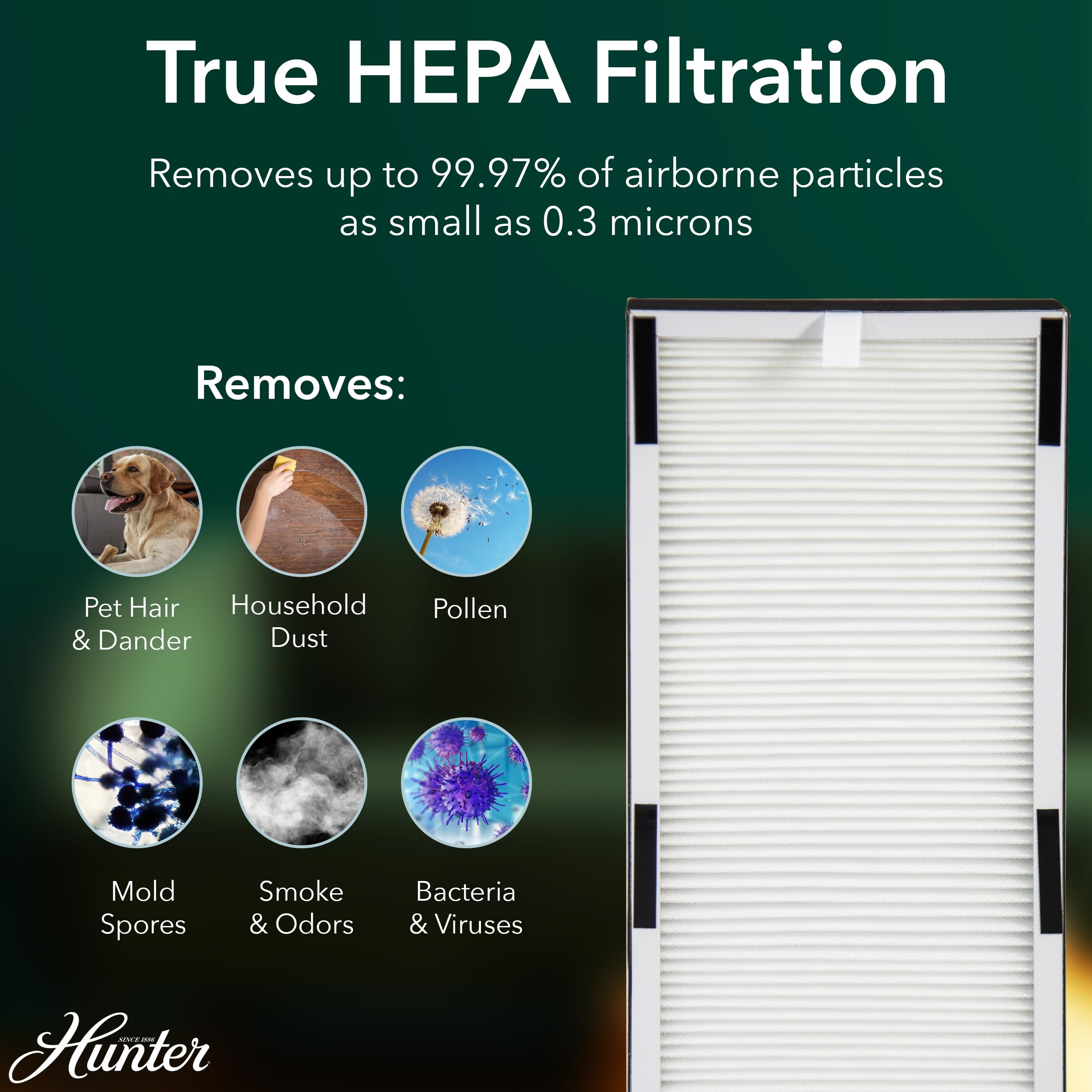 Hunter True HEPA Air Purifier for Large Rooms - 969 Sq Ft Coverage, 3 Fan Speeds & Sleep Mode | Removes Pet Dander, Smoke, Dust, Allergens & Odors | Ideal for Bedroom, Living Room & Office Use (Black)