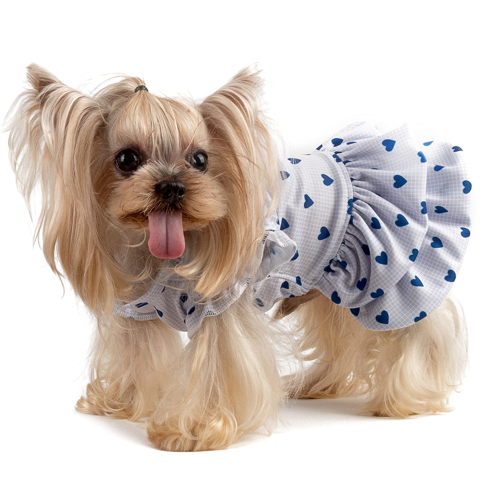 CuteBone Dog Dress - Puppy Skirt & Cat Outfit for Small Dogs | Pet Clothes for Girls | Birthday Gift for Dogs & Cats | Perfect for Parties, Photos & Special Occasions