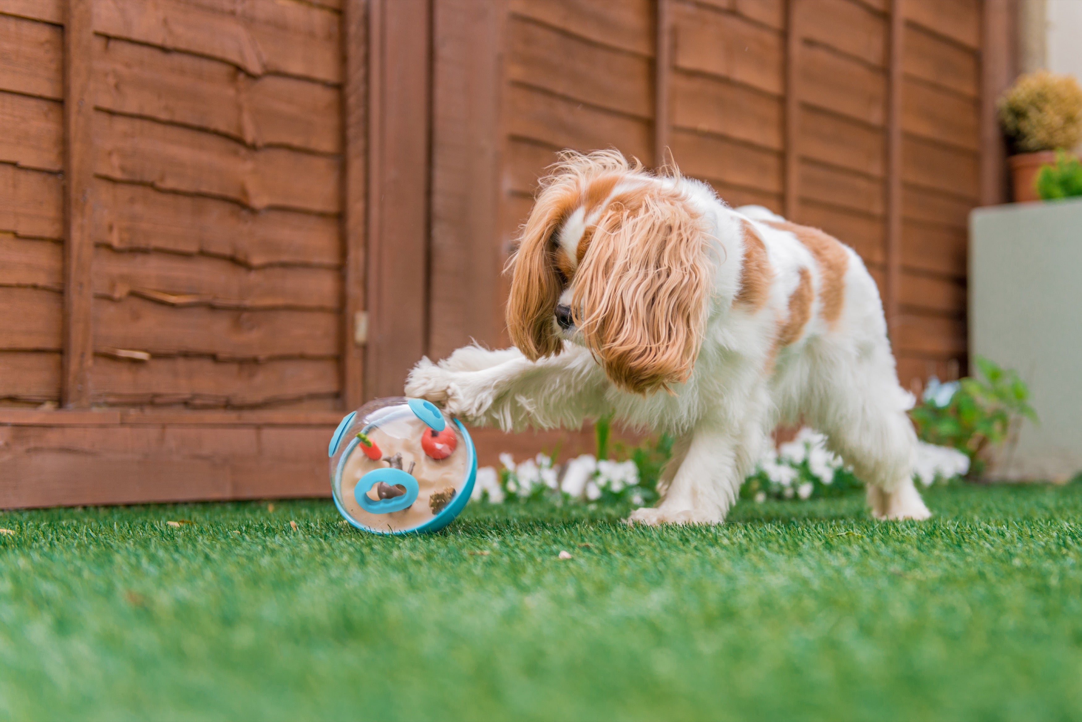 Interactive Wobble Ball Dog Toy with Treat Dispenser - Green | Pet P.L.A.Y. - Fun Puzzle Game for Dogs to Stimulate Mental & Physical Activity