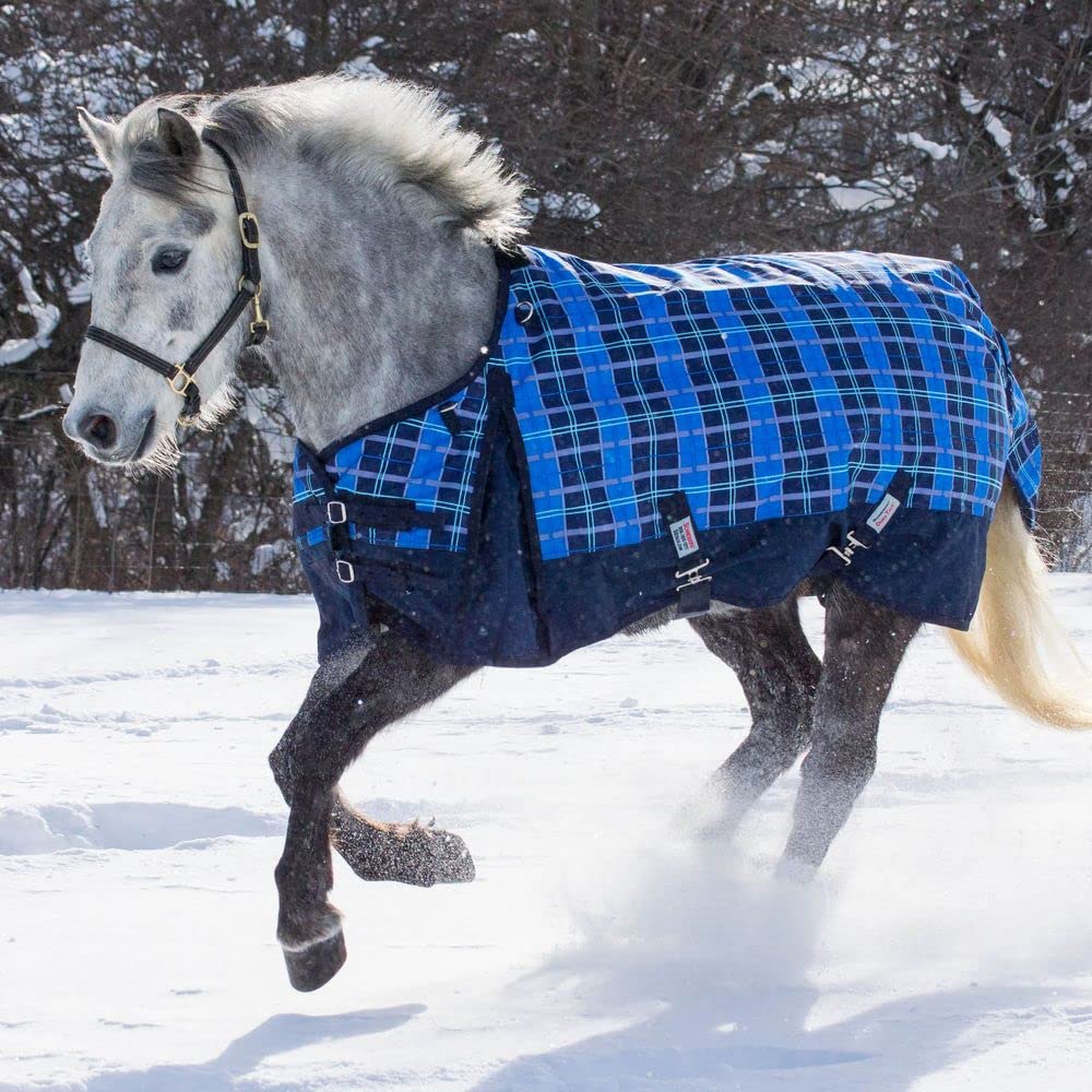 Viking Classic Euro Fit Horse Turnout Blanket - Waterproof Winter Horse Blanket with Surcingle Plaid Design & Large Tail Cover | Heavy Duty Stable Blanket for Cold Weather Riding & Outdoor Horse Protection