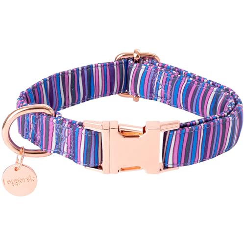 Purple striped
