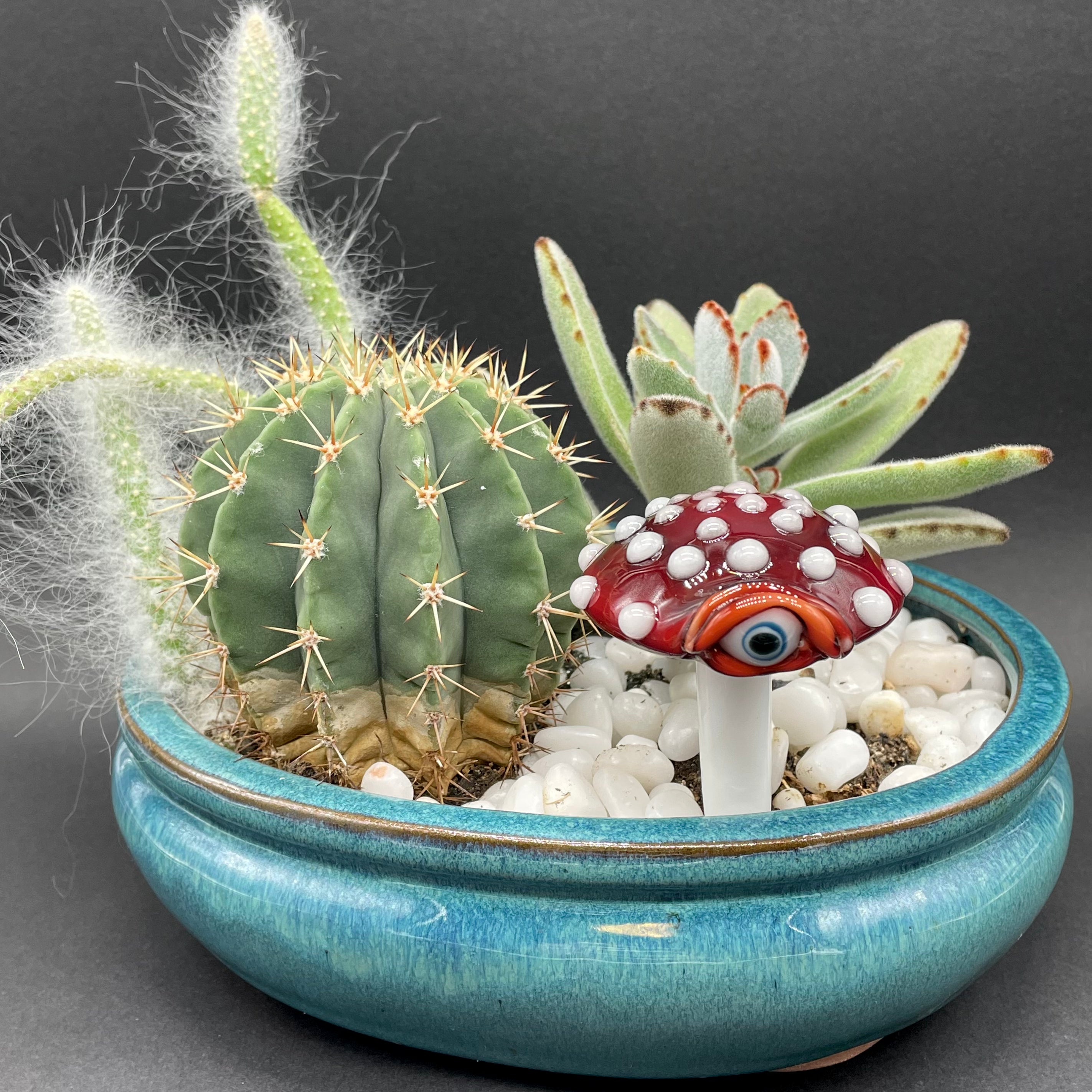 Premium Mushroom Plant Decor - Handmade Ceramic Mushroom Planter for Home & Garden Decor - Perfect for Indoor Plants, Succulents, and Fairy Gardens
