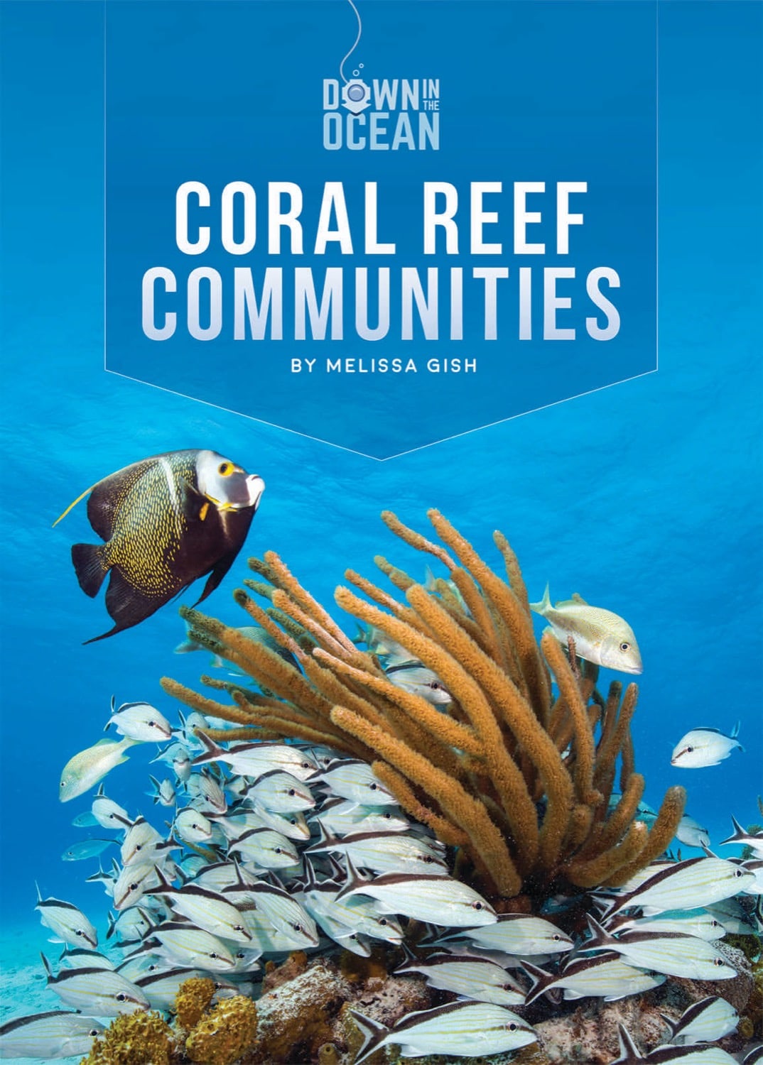 Coral Reef Communities - Marine Ecosystem Guide for Aquarium Enthusiasts & Ocean Conservationists | Perfect for Home Aquariums, Educational Projects & Marine Biology Studies