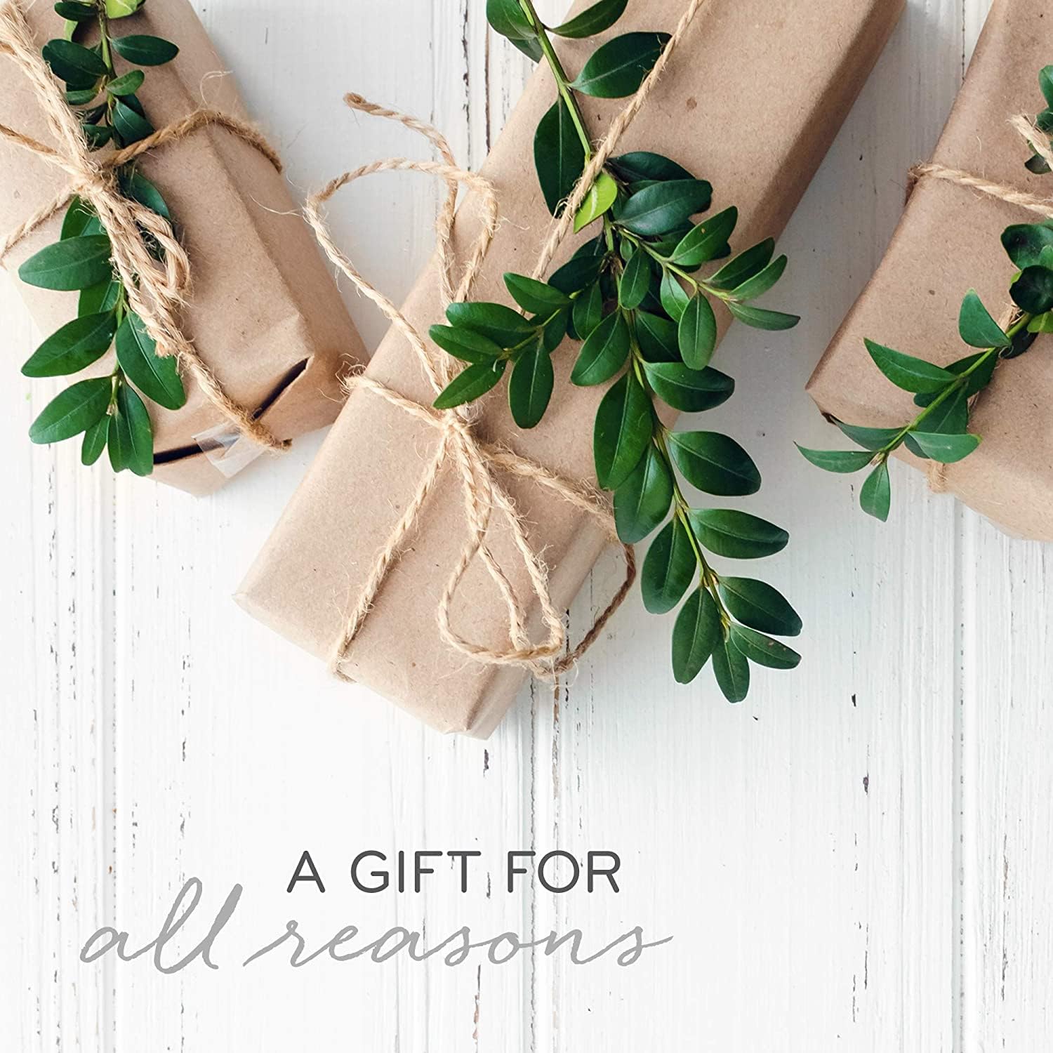 Thymes Frasier Fir Gilded Gold 3-Wick Scented Candle - 17 oz Luxury Holiday Home Fragrance with Crisp Forest Aroma - Elegant Gold Jar Candle for Christmas Decor, Cozy Winter Evenings & Gift Giving