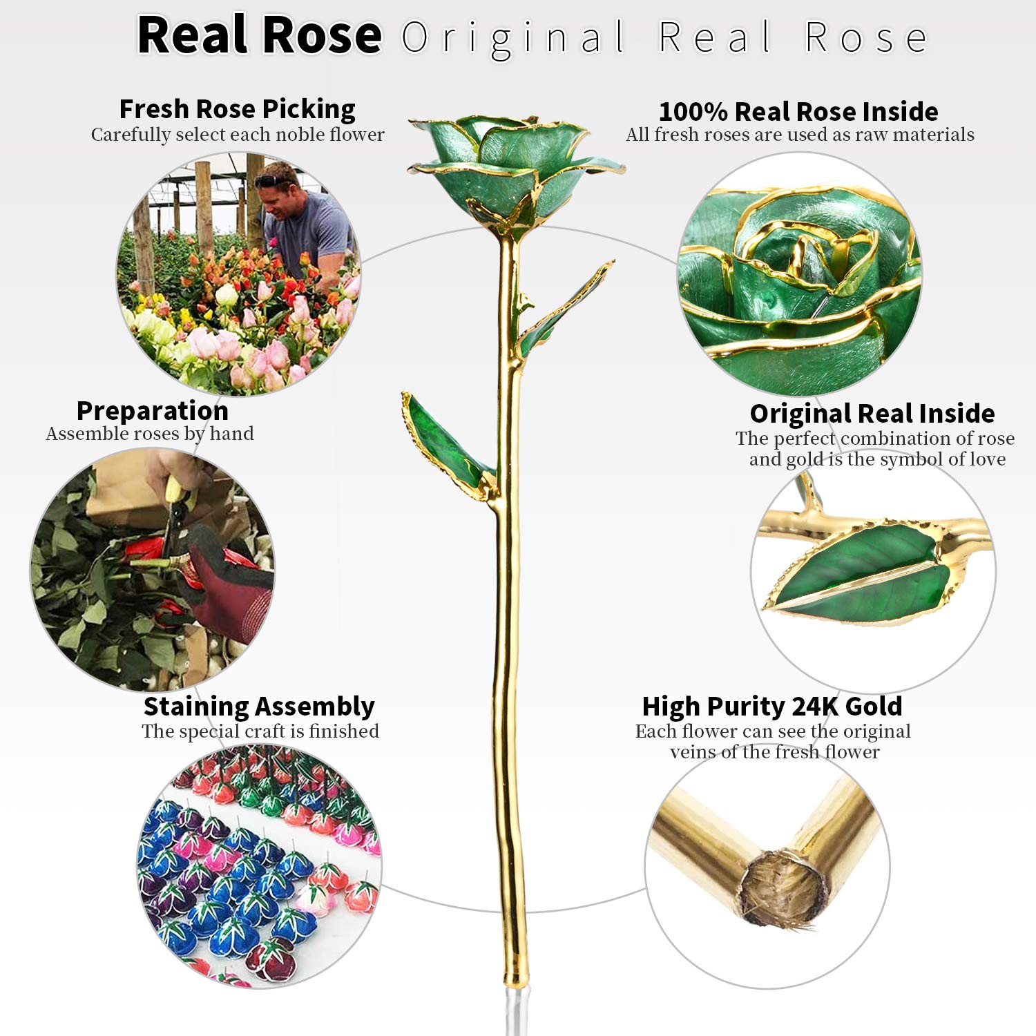 24K Gold Plated Real Rose in Glass Dome - Luxury Romantic Gift for Her, Wife, Girlfriend, Anniversary, Valentine's Day - Home Decor & Wedding Table Centerpiece