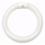 Bulbrite 502112 FC12T9CW 32W T9 Circline Cool White Fluorescent Light Bulb - Perfect for Office Lighting, Workshop, and Garage Illumination