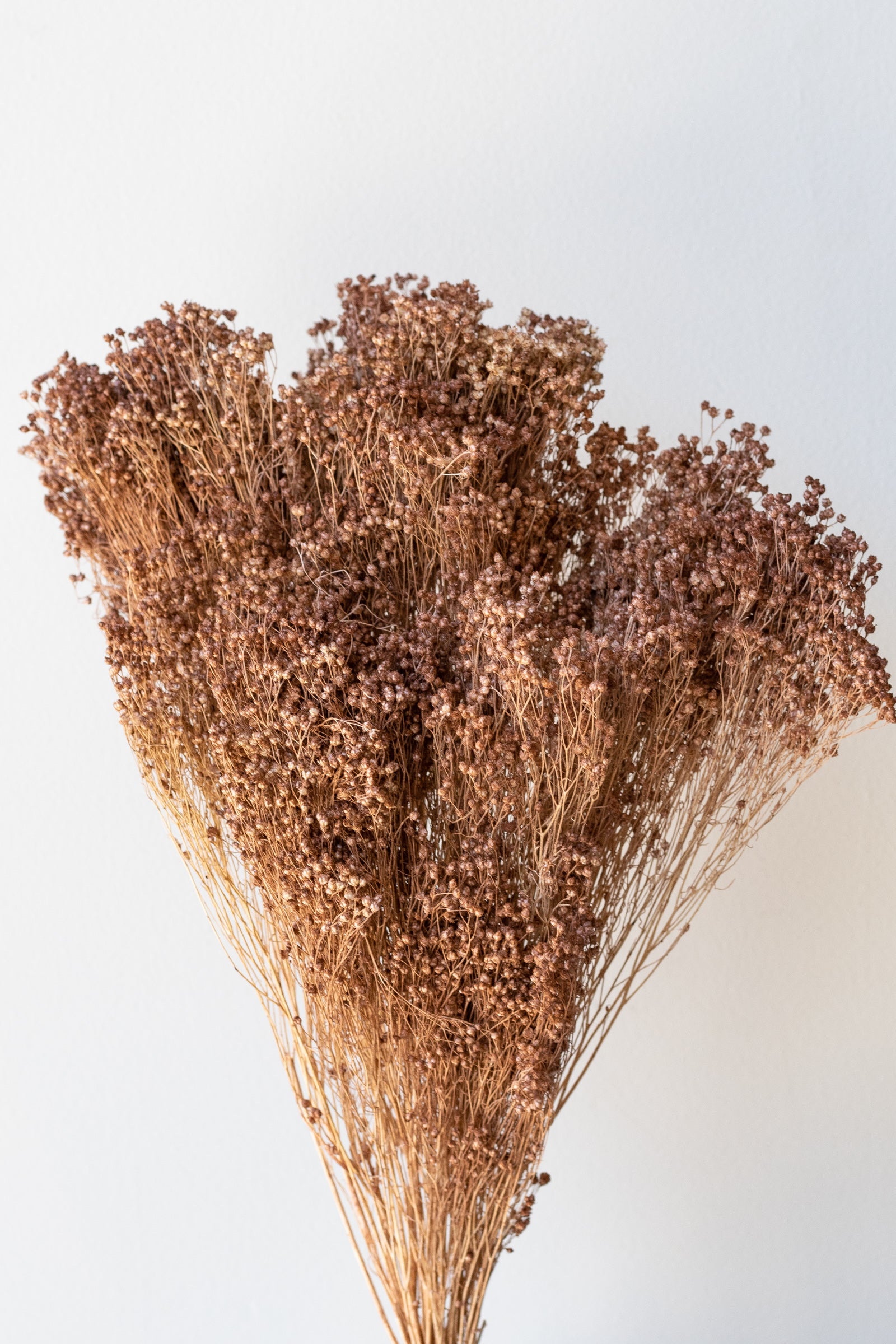 Sepia Pastel Preserved Broom Bouquet - Dried Floral Decor for Boho Home, Wedding Centerpieces & Rustic Farmhouse Aesthetic