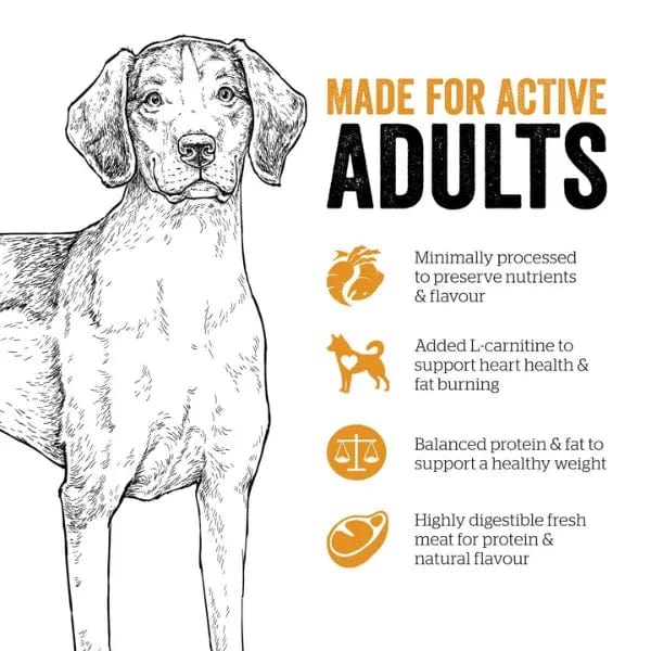 Now Fresh Grain-Free Adult Dry Dog Food with Turkey, Salmon & Duck - High Protein Recipe for Active Dogs - Perfect for Daily Meals & Training Rewards