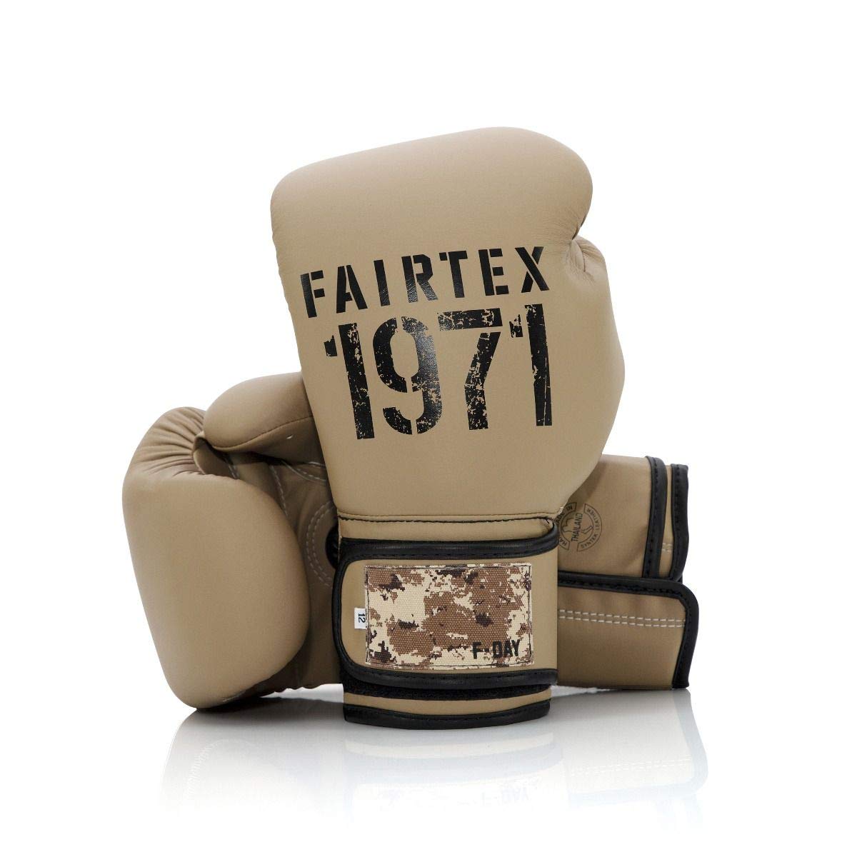 Fairtex Muay Thai Boxing Gloves for Men, Women & Kids - Premium MMA Training Gloves for Kickboxing, Gym Workouts | Lightweight, Shock Absorbent Punching Gloves (BGV14/BGV11/BGV18/BGV20/BGV25) | Perfect for Sparring, Bag Work & Fitness Training
