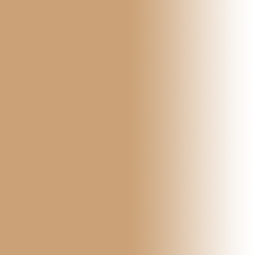 Dinair Airbrush Makeup Foundation in Vanilla 1.15 oz - Professional Camouflage Neutralizer for Scars, Acne, Tattoos, Vitiligo & Dark Circles | Full Coverage Liquid Foundation for Flawless Skin | Perfect for Bridal, Photography & Special Occasion Makeup