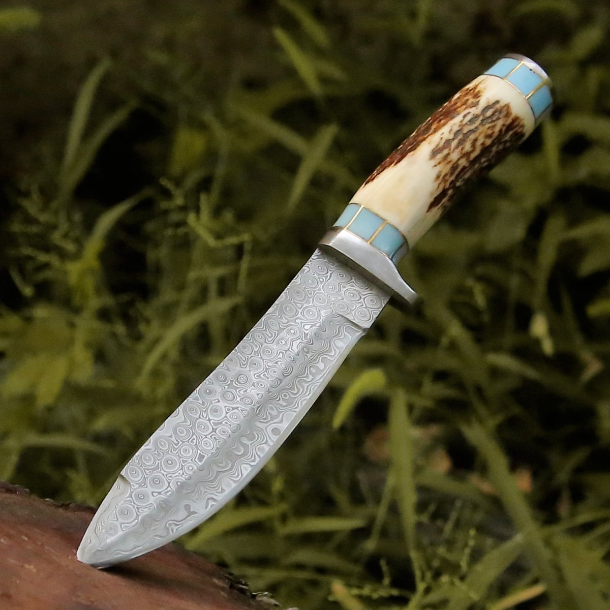 Premium Bull Nose Hunting Knife with Antler & Turquoise Handle - Durable Fixed Blade for Outdoor, Camping, and Survival - Perfect Gift for Hunters & Adventurers