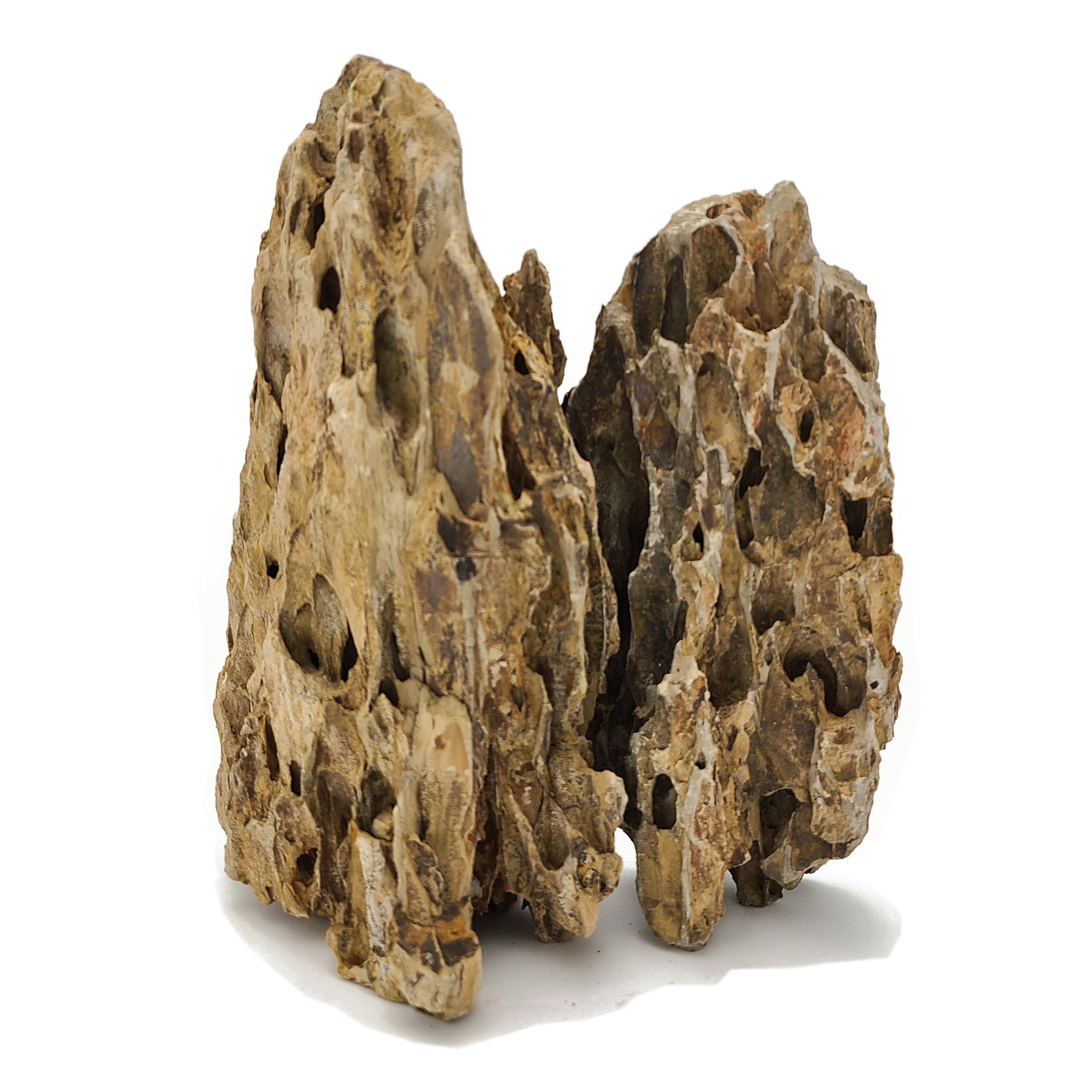 Premium Dragon Ohko Aquascaping Rock - 44 Lbs Natural Medium Stones for Fish Tank, Aquarium Decoration | Perfect for Planted Tanks, Shrimp Habitats & Zen Water Features
