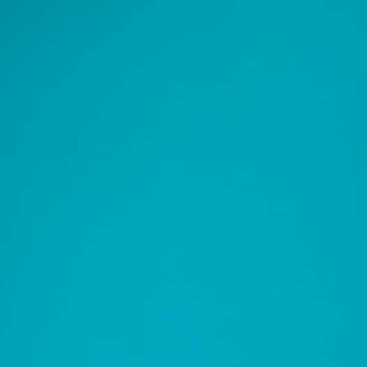 Coral Teal