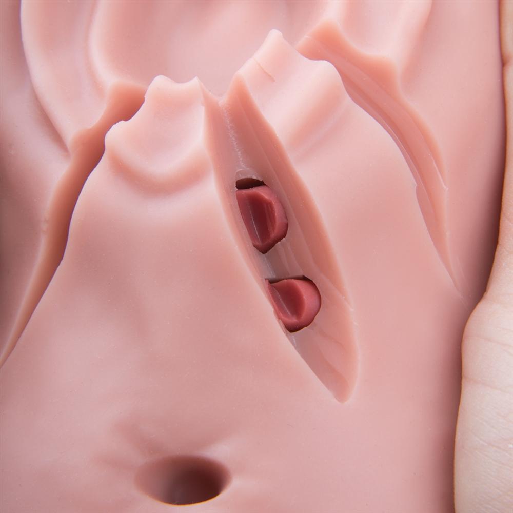 Episiotomy and Suturing Simulator with Realistic Lighting - Medical Training Model for OBGYN Students & Midwives - Perfect for Clinical Practice & Surgical Skills Development