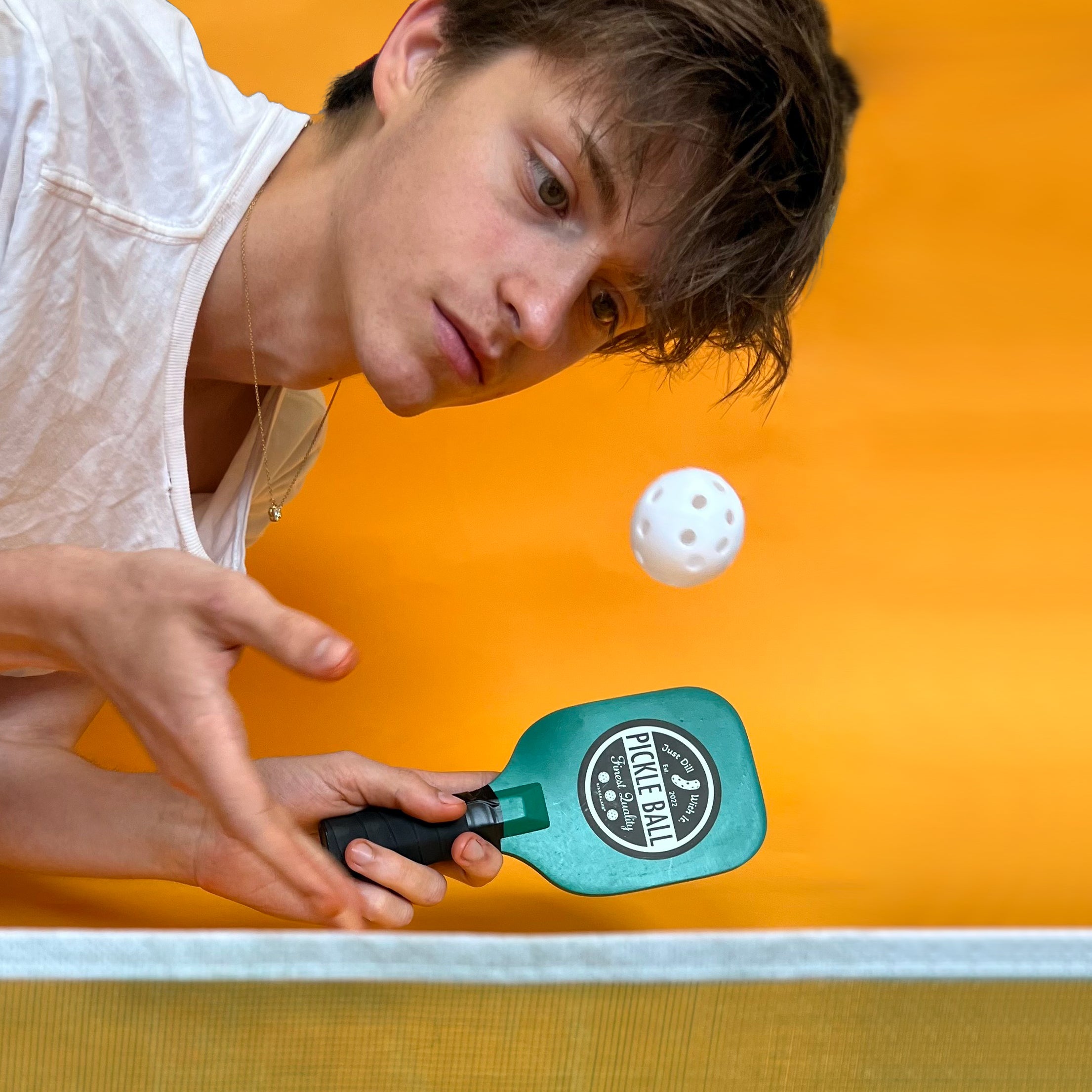Premium Desktop Pickleball Set - Portable Indoor/Outdoor Game for Kids & Adults - Fun Office, Backyard, Beach & Party Activity
