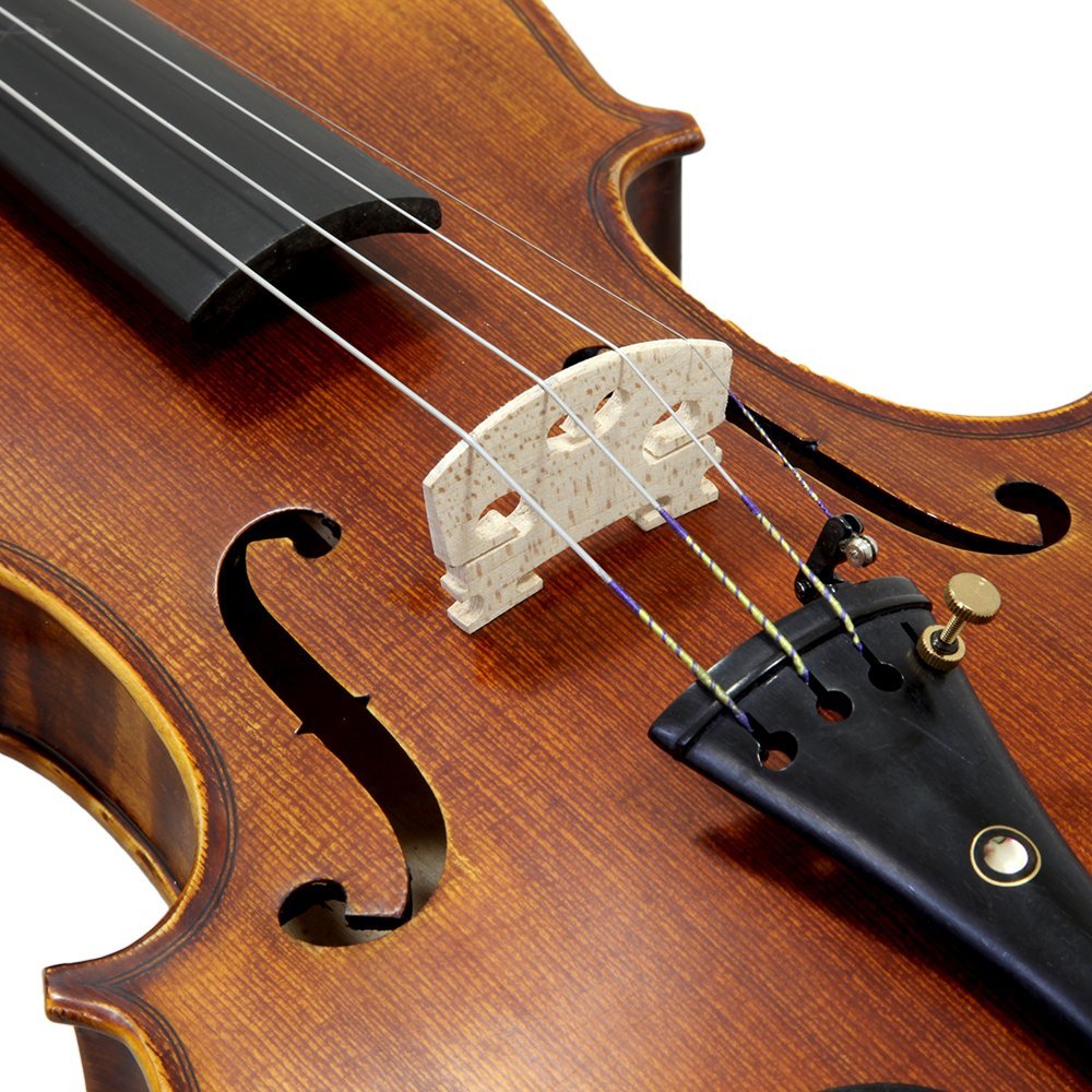 Premium 1/2 Size Hand Carved Ebony Violin Outfit - PTVNSH100 with Case, Bow, Strings, Tuner, Mute & Rosin - Perfect for Students, Beginners & Professional Practice at Home or School