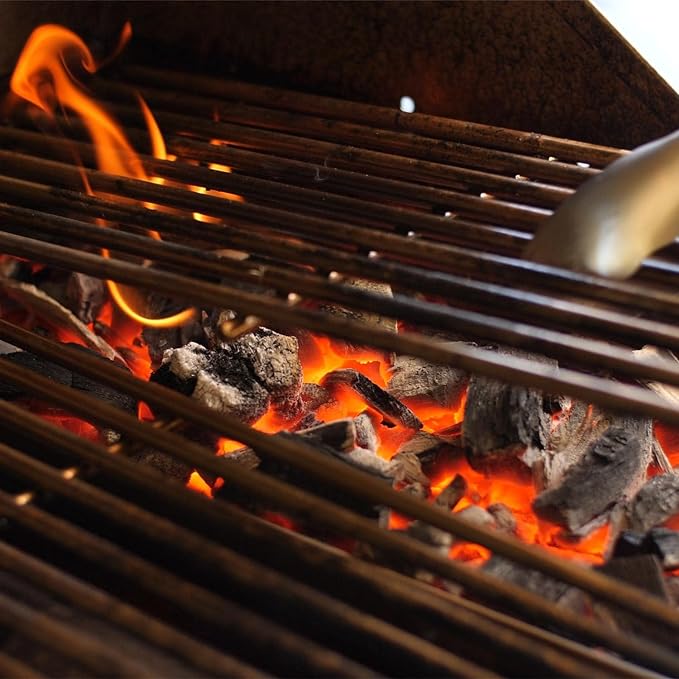 Premium Lion Charcoal Tray for 32 & 40 Inch Gas Grills - Compatible with L109673 Model - Perfect for BBQ, Grilling, and Outdoor Cooking