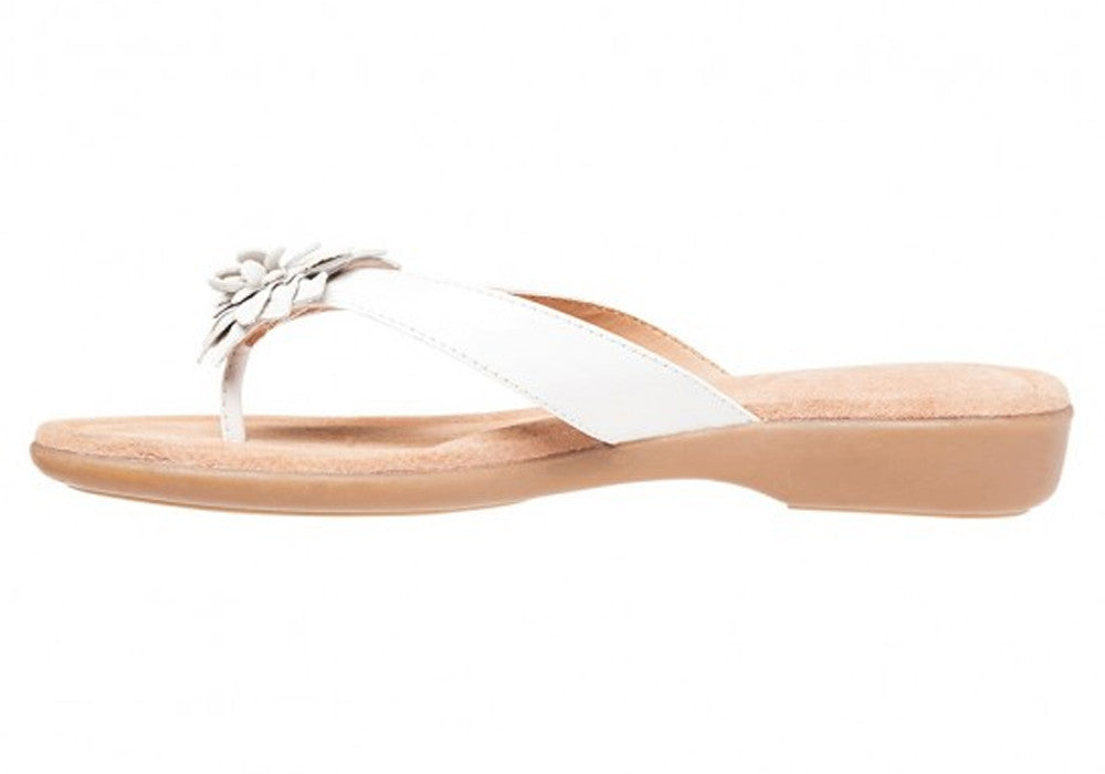 Hush Puppies Women's Veta Leather Thong Sandals - Comfortable & Stylish for Casual Wear, Beach, and Summer Outings
