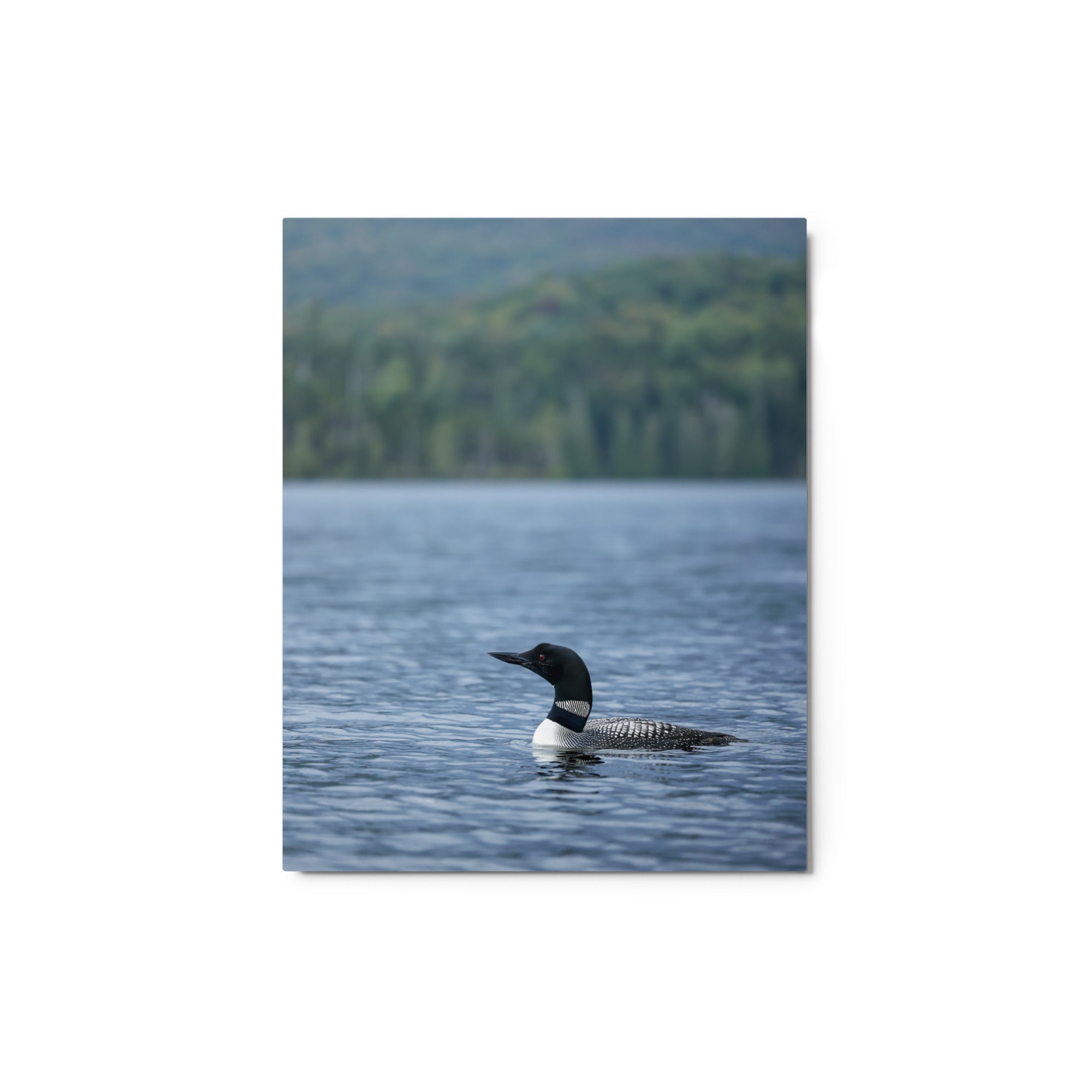Adirondack Loon Metal Wall Art Print - Premium Aluminum Decor for Living Room, Bedroom & Office - Nature Inspired Home Decor