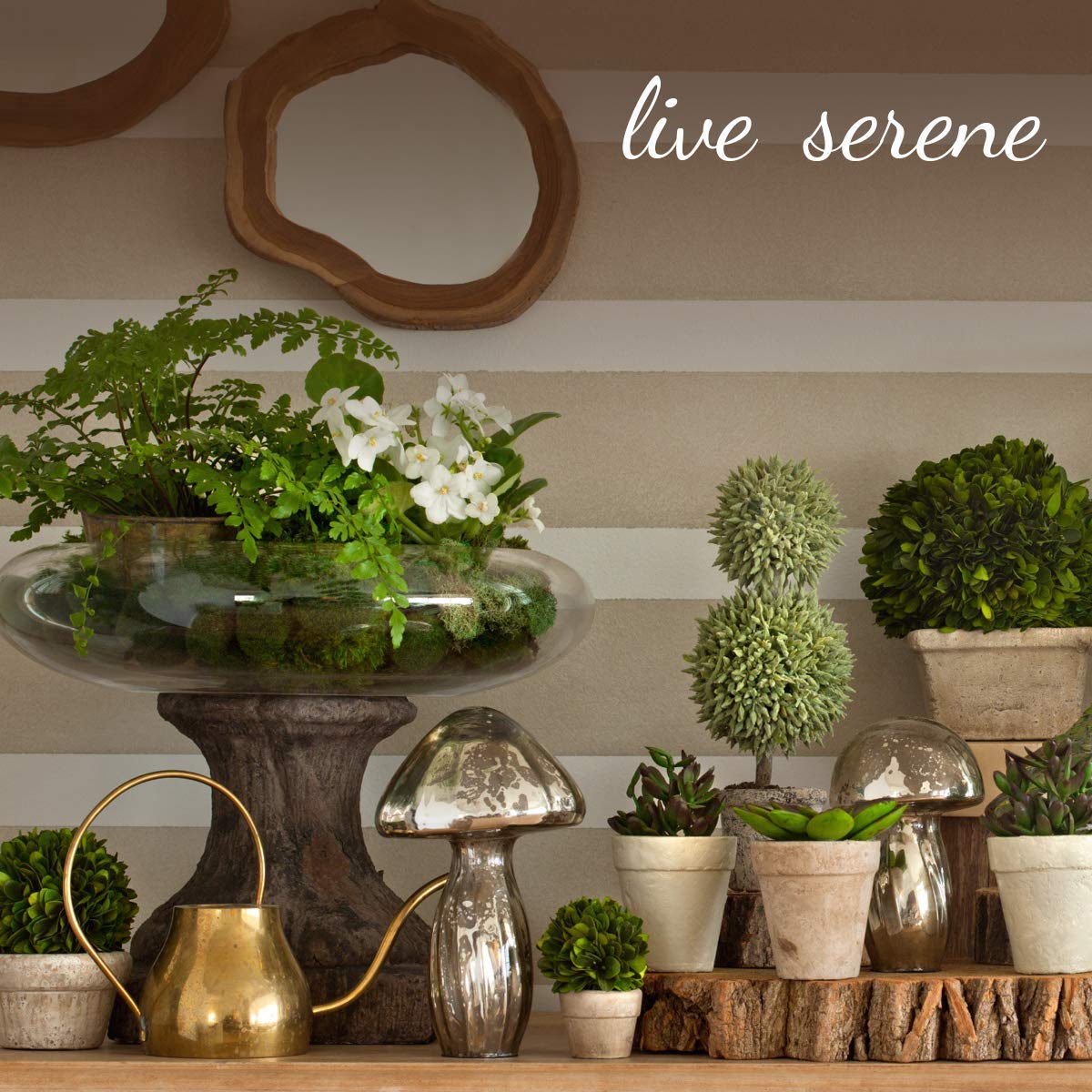 Serene Spaces Living Set of 12 White Pillar Candles - 3