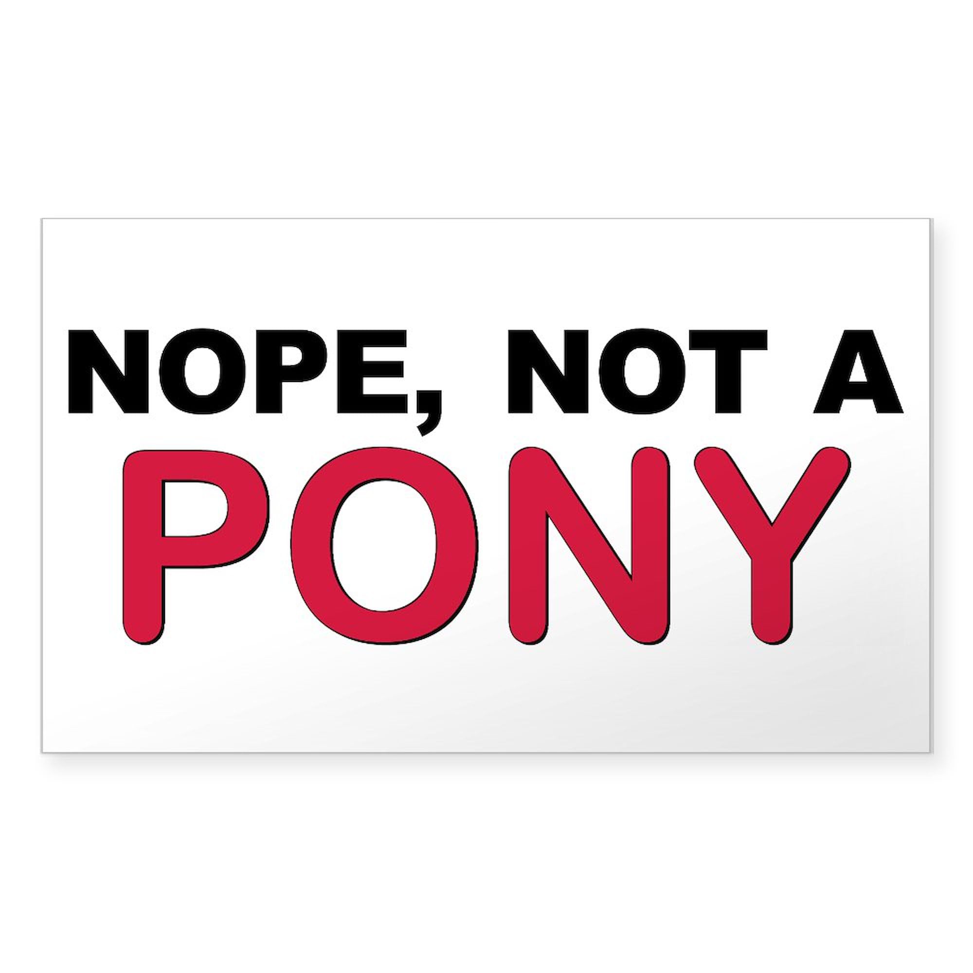 Great Dane Not A Pony Rectangle Bumper Sticker - Funny Car Decal for Vehicles, Laptops & Water Bottles - Durable Vinyl Sticker for Pet Lovers