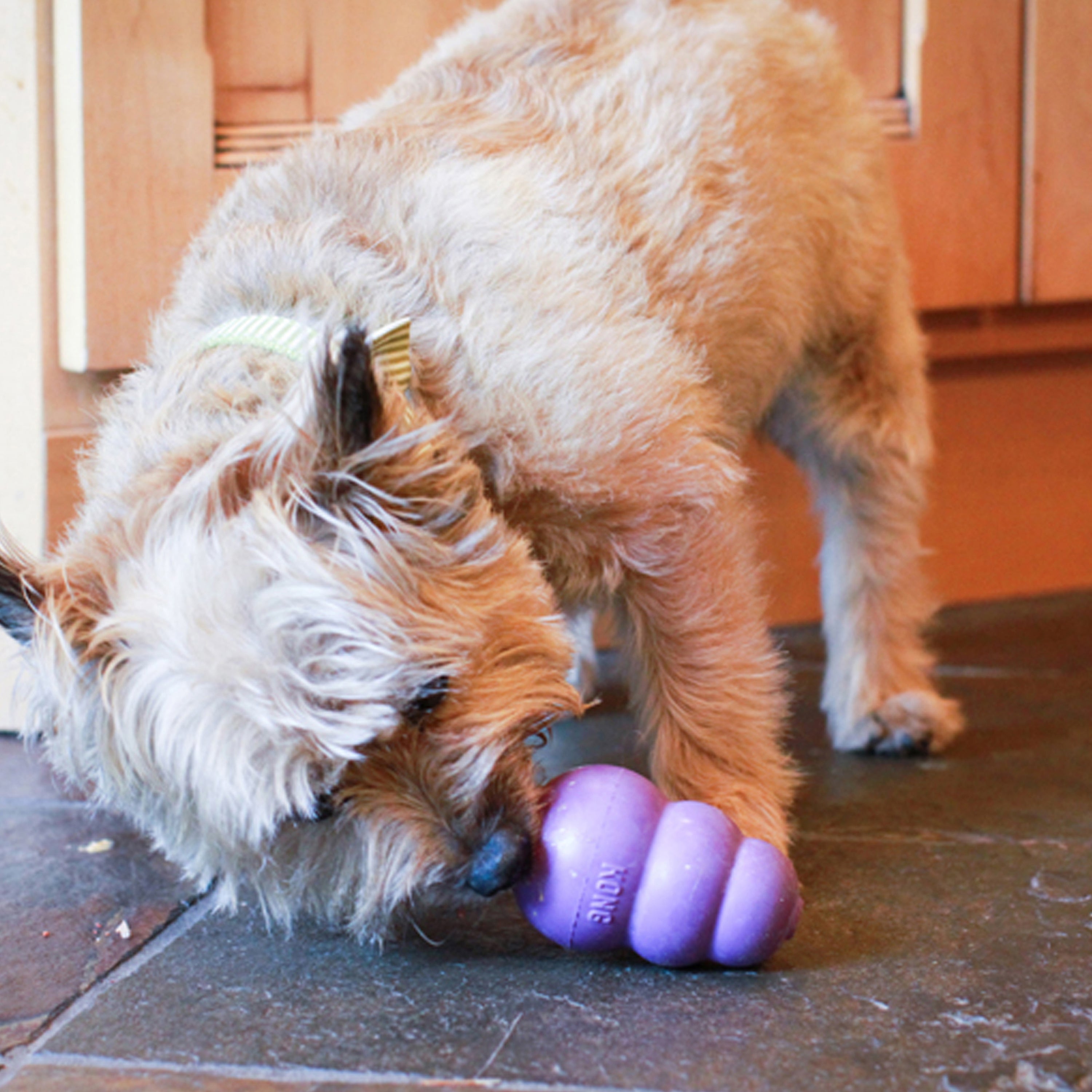 KONG Senior Dog Toy - Durable Chew Toy for Adult Dogs, Interactive Treat Dispenser for Mental Stimulation & Playtime Fun - Perfect for Large Breed Dogs & Aggressive Chewers
