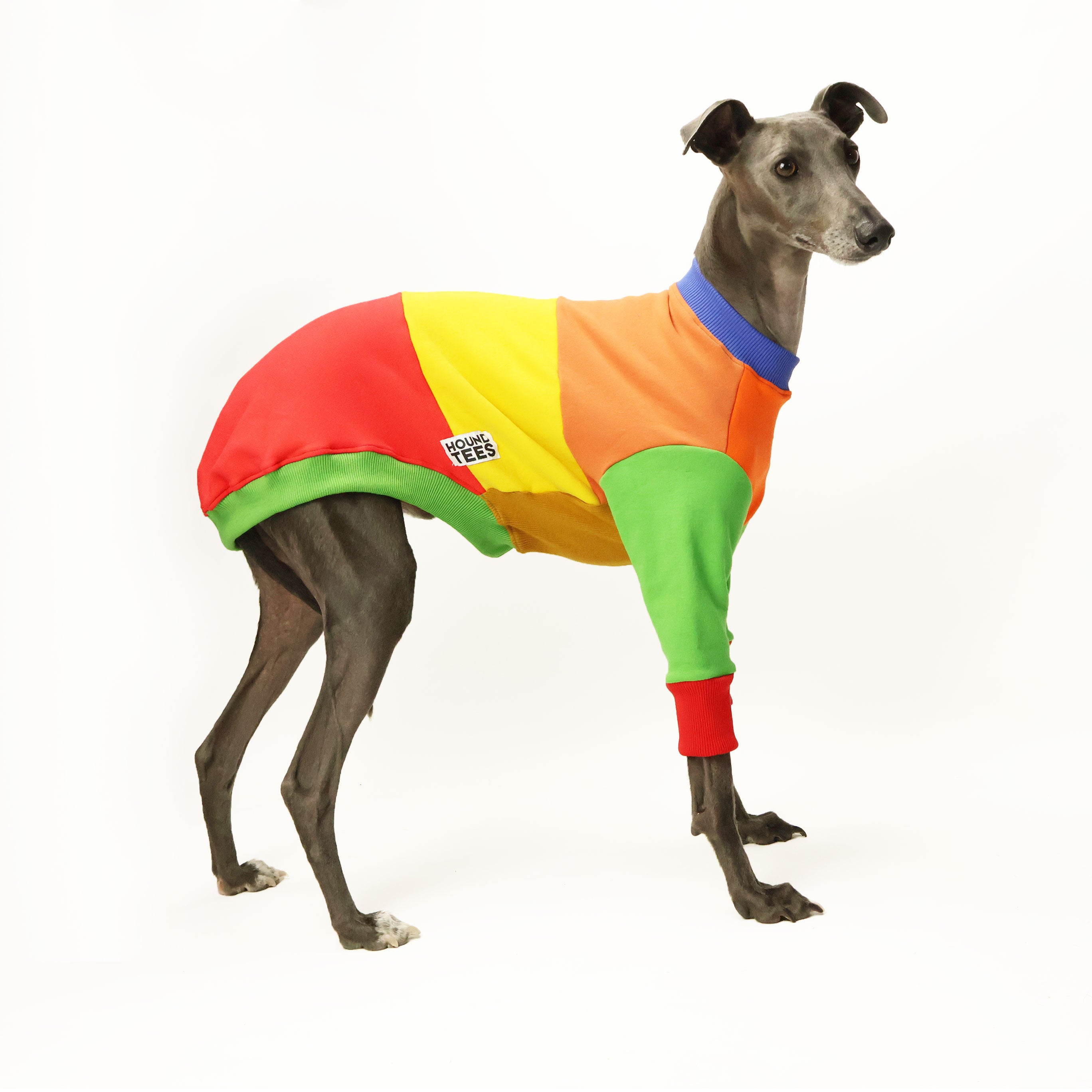 Frankie Jester Whippet Sweater for Dogs - Cozy Knit Winter Dog Clothes - Perfect for Small to Medium Breeds - Keep Your Pet Warm in Cold Weather & Outdoor Adventures