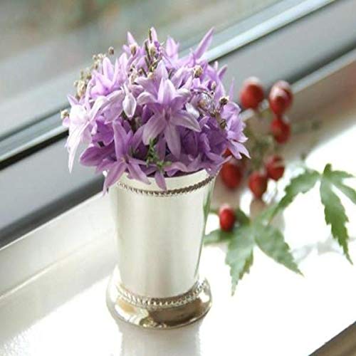 Small Silver Mint Julep Cups - Elegant Wedding Favors & Tiny Decor for Bridal Showers, Receptions, and Southern-Themed Parties - Perfect for Cocktail, Dessert, and Champagne Serving