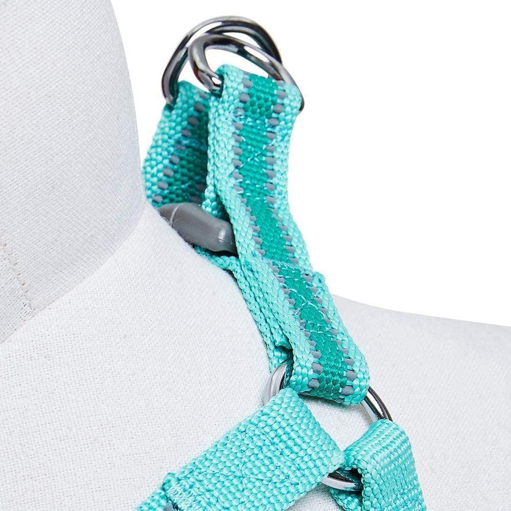 Blueberry Pet Essentials Step-in Reflective Dog Harness - Adjustable Mint Green Vest for Medium Dogs (20-26