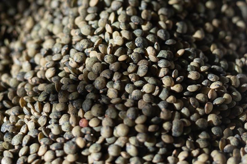 Organic French Green Lentils 1 lb | Non-GMO, High Protein | Perfect for Salads, Soups & Stews | Rancho Gordo Premium Quality