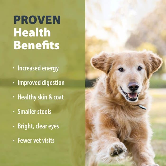 JustFoodForDogs Frozen Fresh Dog Food - Venison & Squash Human-Grade Recipe, 18oz (7 Pack) | Complete Meal or Food Topper for All Breeds | Perfect for Sensitive Stomachs & Picky Eaters