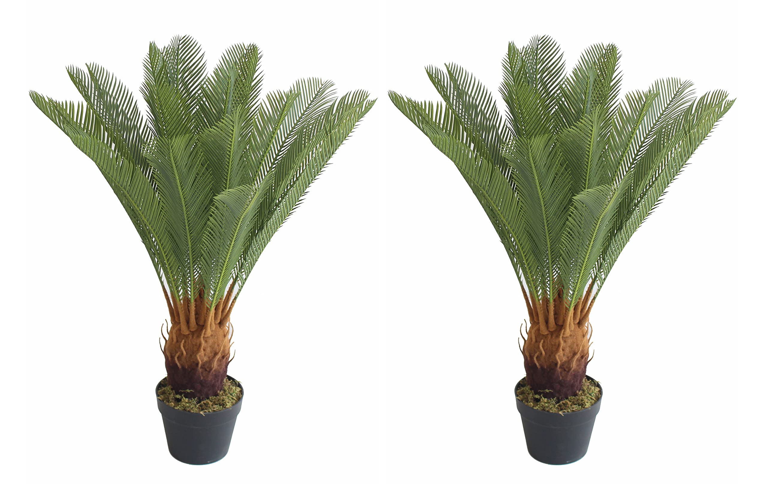 Pair AMERIQUE 3 Feet Cycas Revoluta Sago Palm Tree with Nursery Pot - Real Touch Artificial Plant for Home & Office Decor | Perfect for Living Room, Bedroom, or Office Space