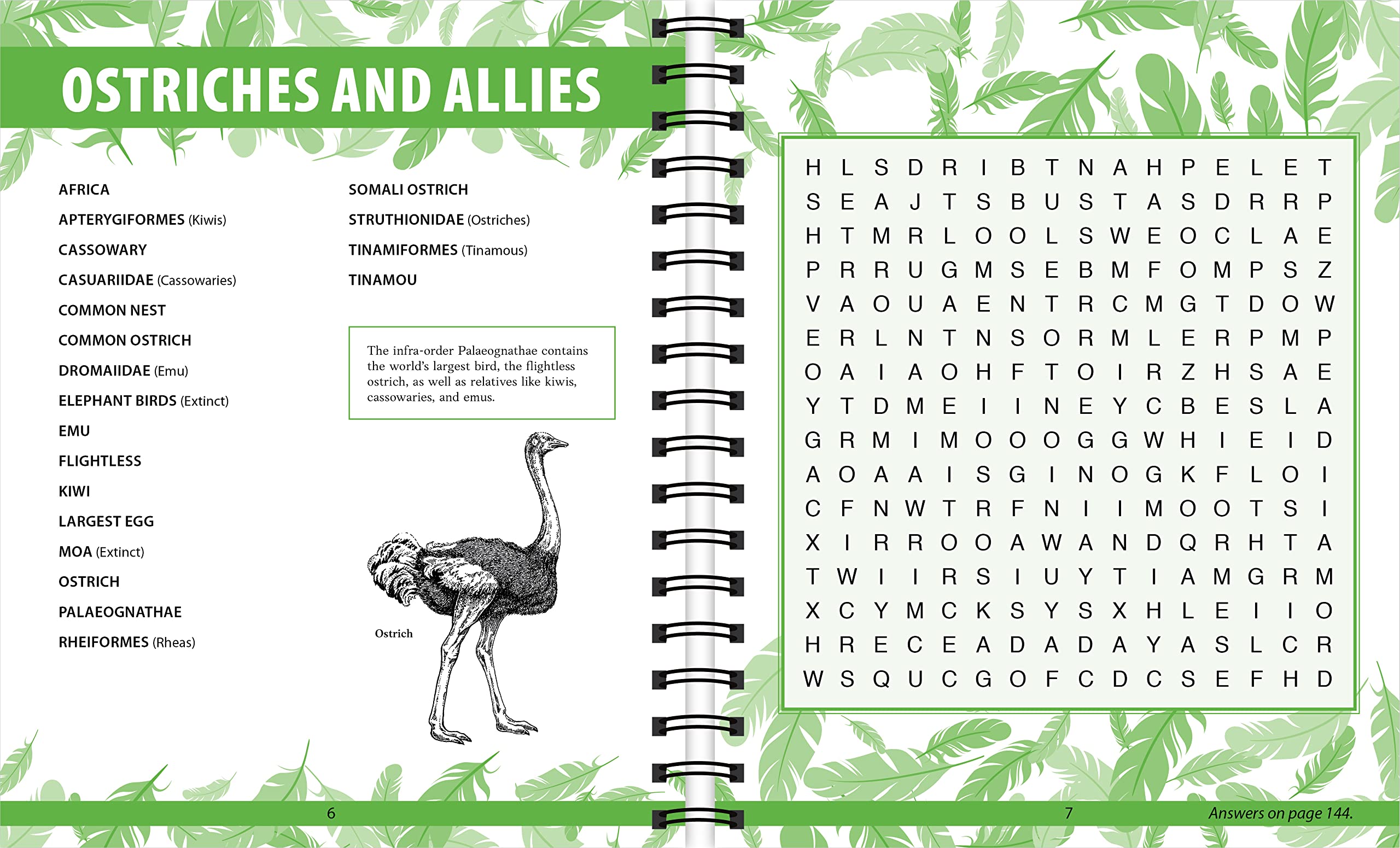 Brain Games - Birds Word Search Puzzles Book for Adults & Kids | Fun Educational Activity for Family, Travel & Classroom Learning