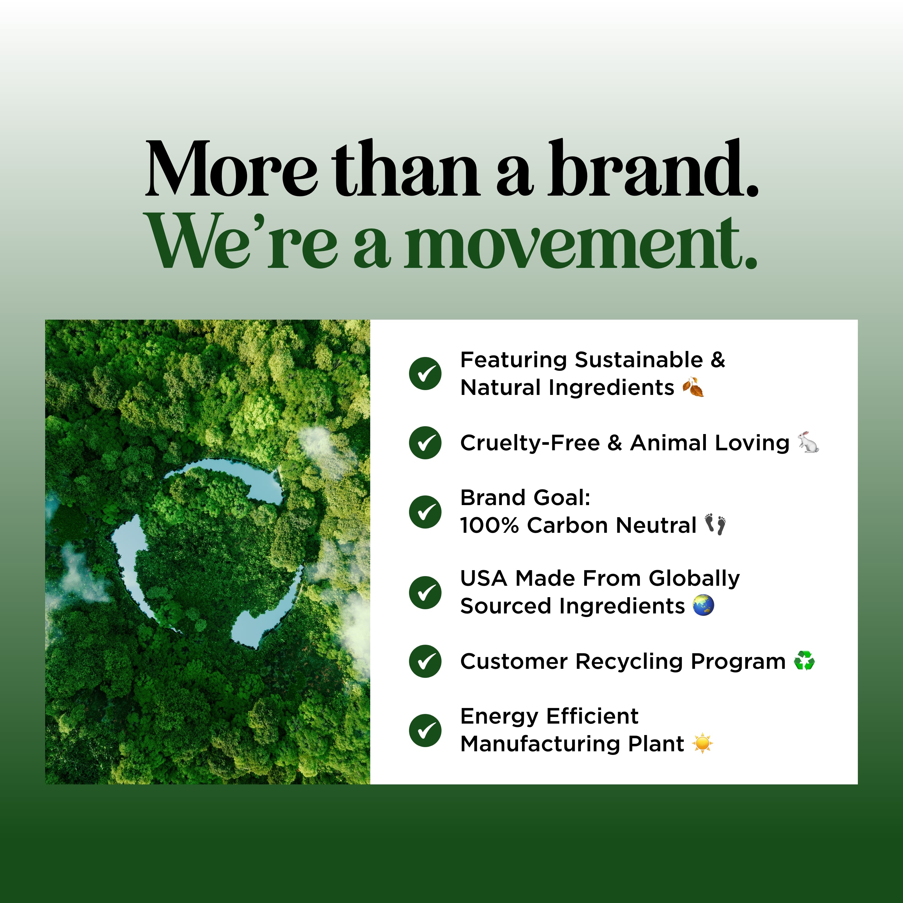Tea Tree Peppermint Shampoo for Scalp Care - Natural Dandruff Treatment & Hair Growth - Refreshing Mint Scent for Daily Use at Home or Gym
