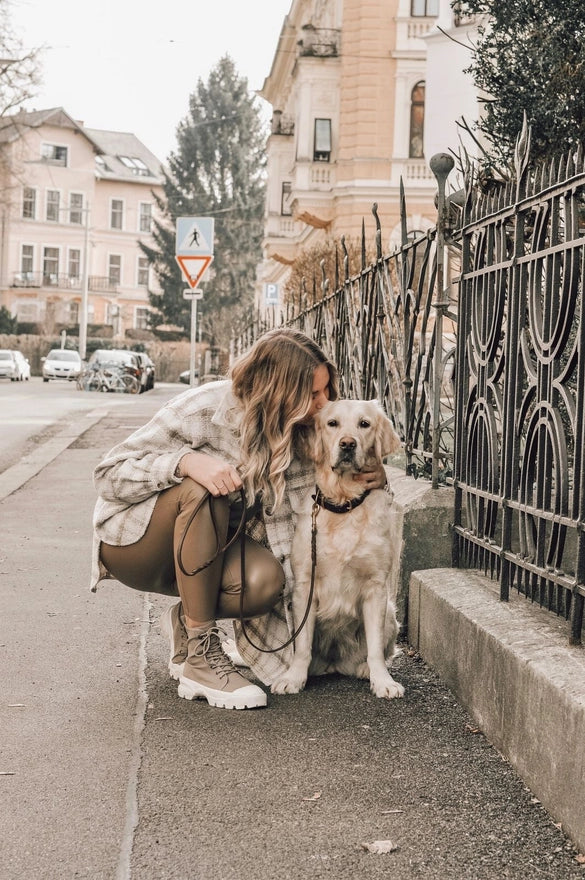 Premium Brown Leather Dog Leash - Strong & Durable for Large Dogs - Perfect for Walking, Training & Outdoor Adventures