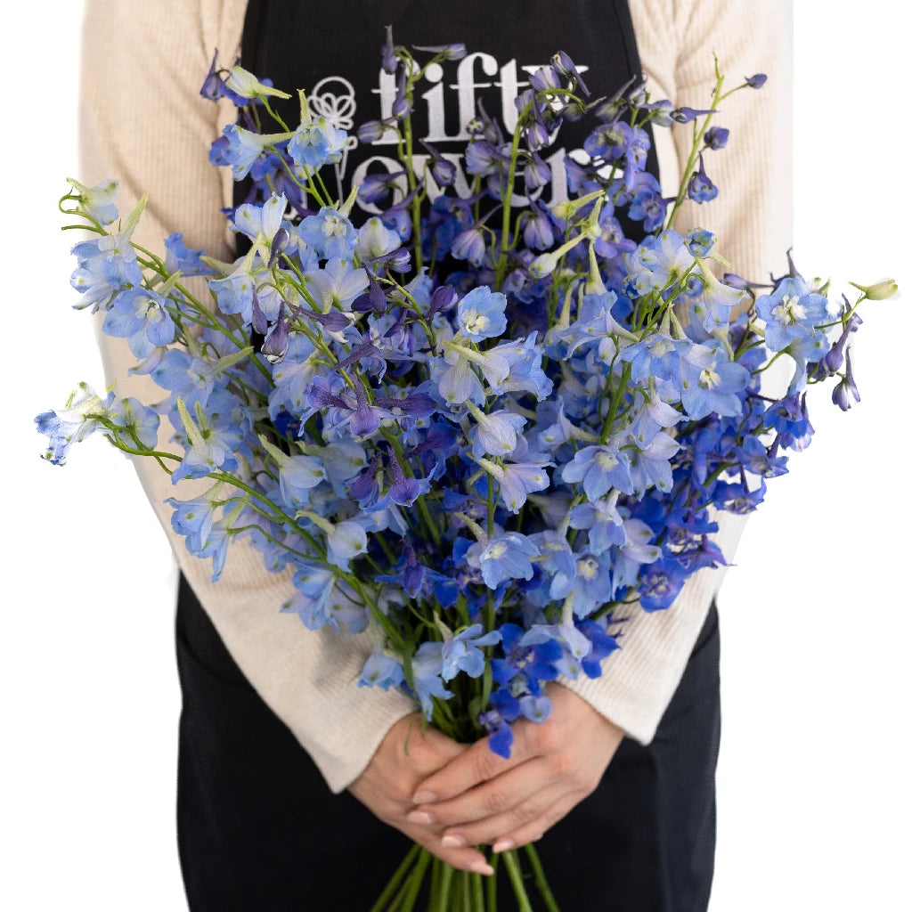 Premium Blue Assorted Designer Delphinium Flower Pack - Perfect for Wedding Bouquets, Home Decor & Garden Arrangements