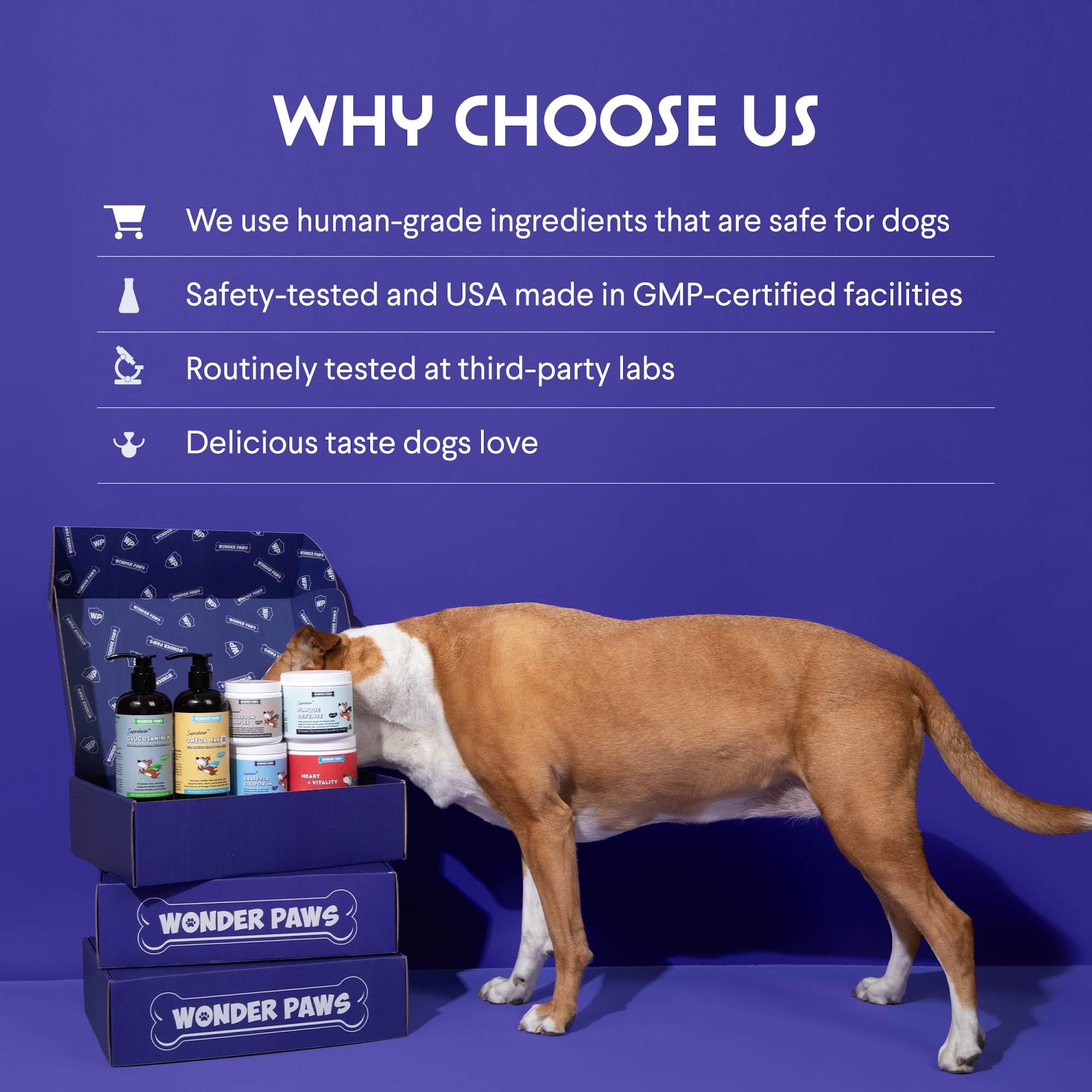Premium Liquid Glucosamine for Dogs - Advanced Joint Support Supplement with Chondroitin, MSM, Collagen & Hyaluronic Acid - Promotes Mobility, Flexibility & Cartilage Health (16 Oz) - Ideal for Senior Dogs & Active Pets with Hip & Joint Issues