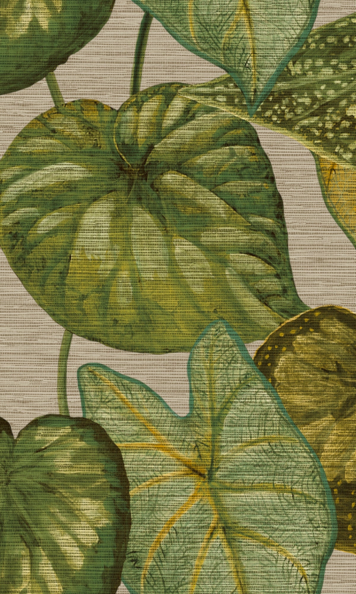Beige & Green Bold Tropical Leaves Wallpaper R8235 - Perfect for Living Room, Bedroom & Home Decor