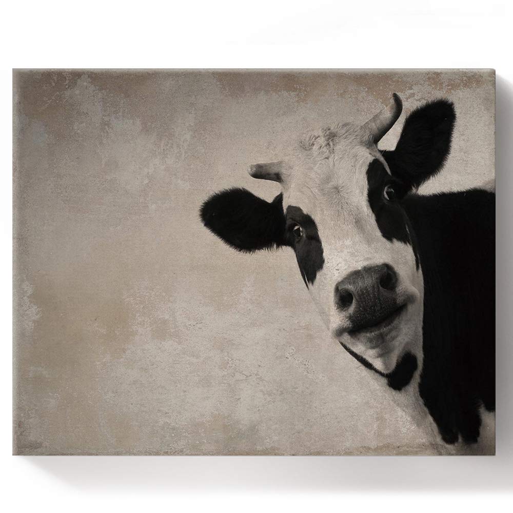 Chucoco Vintage Black and White Farmhouse Milk Cow DIY Oil Painting Kit - Paint by Numbers for Adults & Beginners - Rustic Animal Wall Art Canvas Decor for Living Room, Bedroom, Nursery