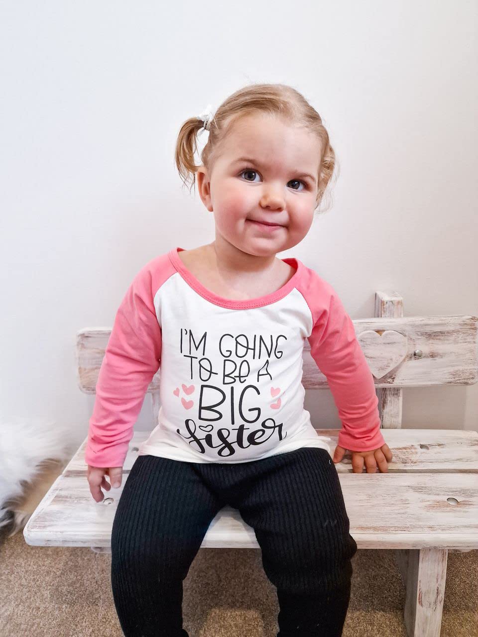 PythJooh Big Sister Announcement T-Shirt for Toddler Girls - Soft Cotton Long & Short Sleeve Tops (Ages 2-7) - Perfect Sibling Reveal Gift for Pregnancy Announcements & Family Celebrations