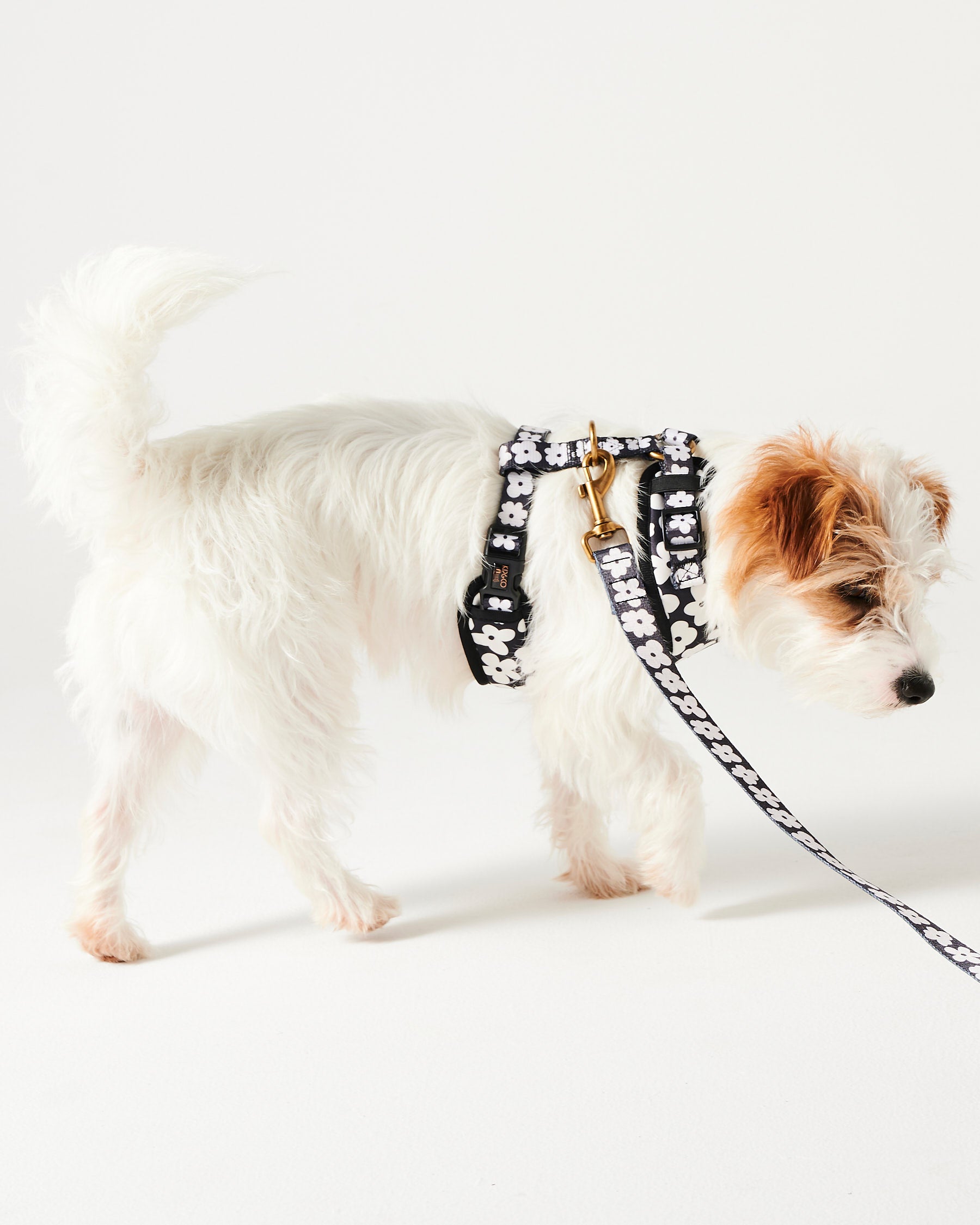 Premium Flower Face Dog Leash - Adjustable & Durable Pet Lead for Small to Medium Dogs - Perfect for Walks, Training & Outdoor Adventures