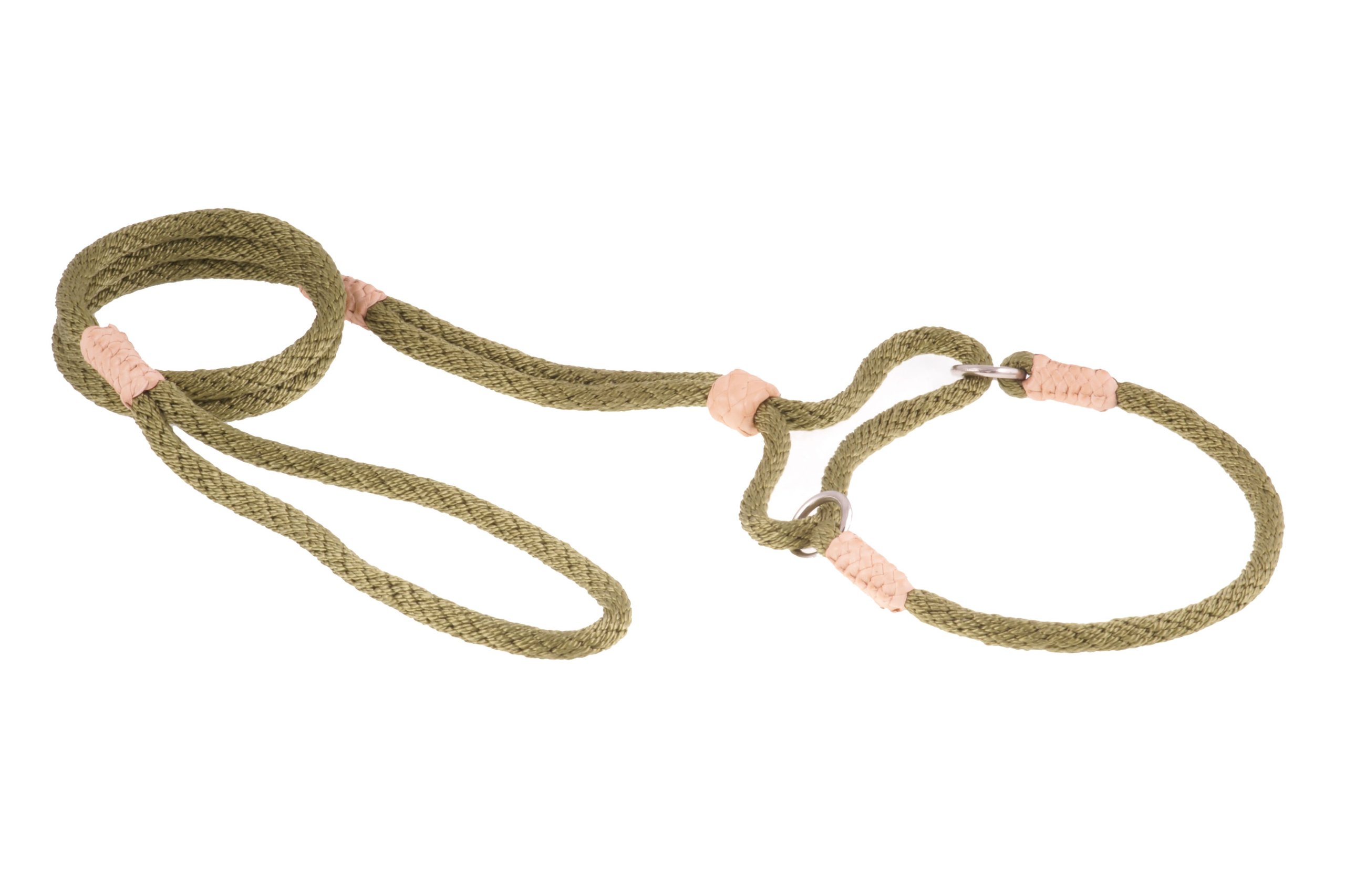 Alvalley Martingale Dog Leash with Collar - Soft Nylon Training Leash for Small & Medium Dogs - Includes Tagua Bead Stopper - Ideal for Walking, Obedience Training & Outdoor Adventures