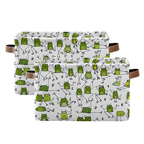5 Frogs