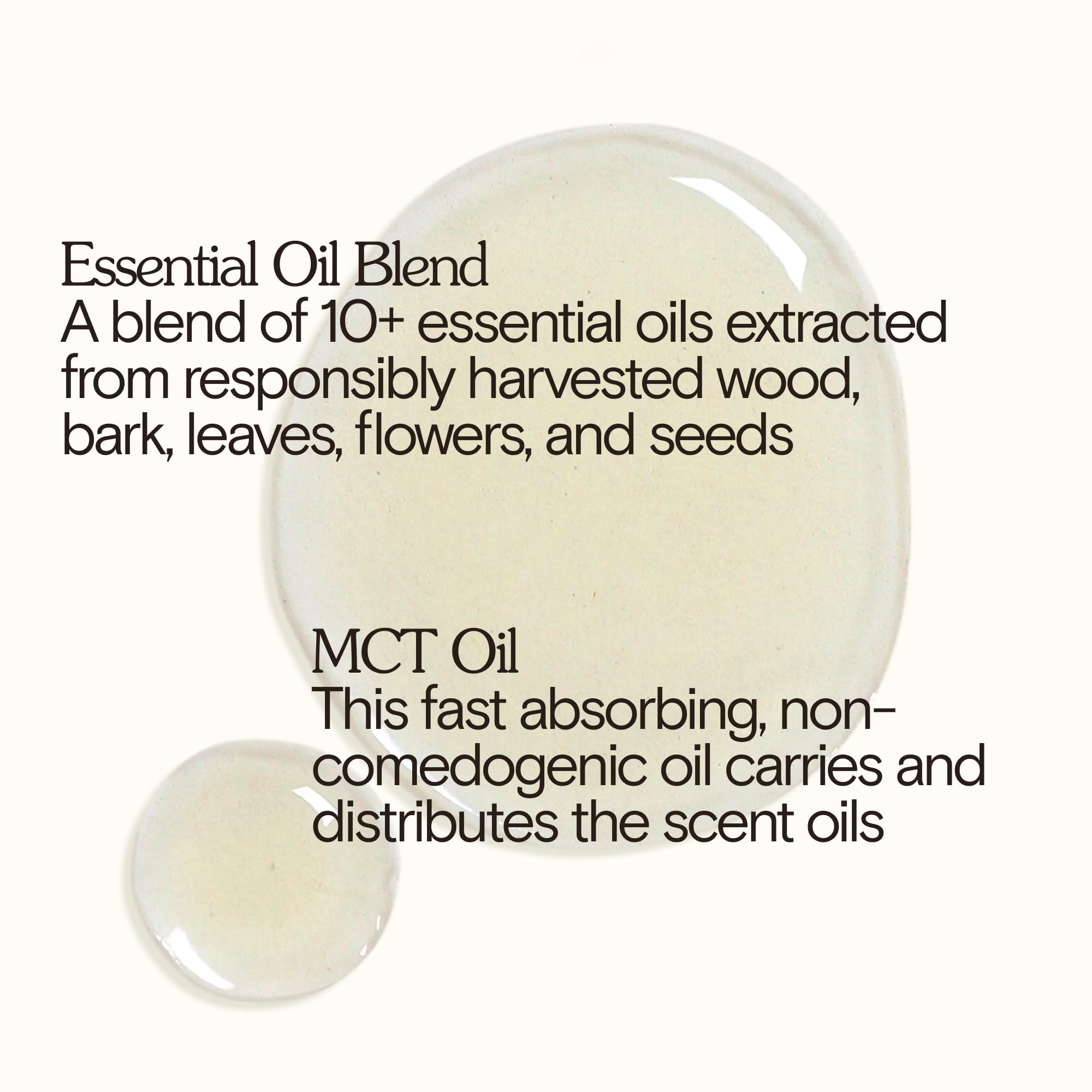 Organic Cathedral Grove Roll-On Perfume Oil by Bathing Culture | Natural, Vegan, Biodegradable & Sustainable Personal Care (0.3 fl oz | 9 ml) - Perfect for Travel, Daily Wear & Eco-Friendly Gifting