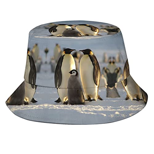 Penguin 03