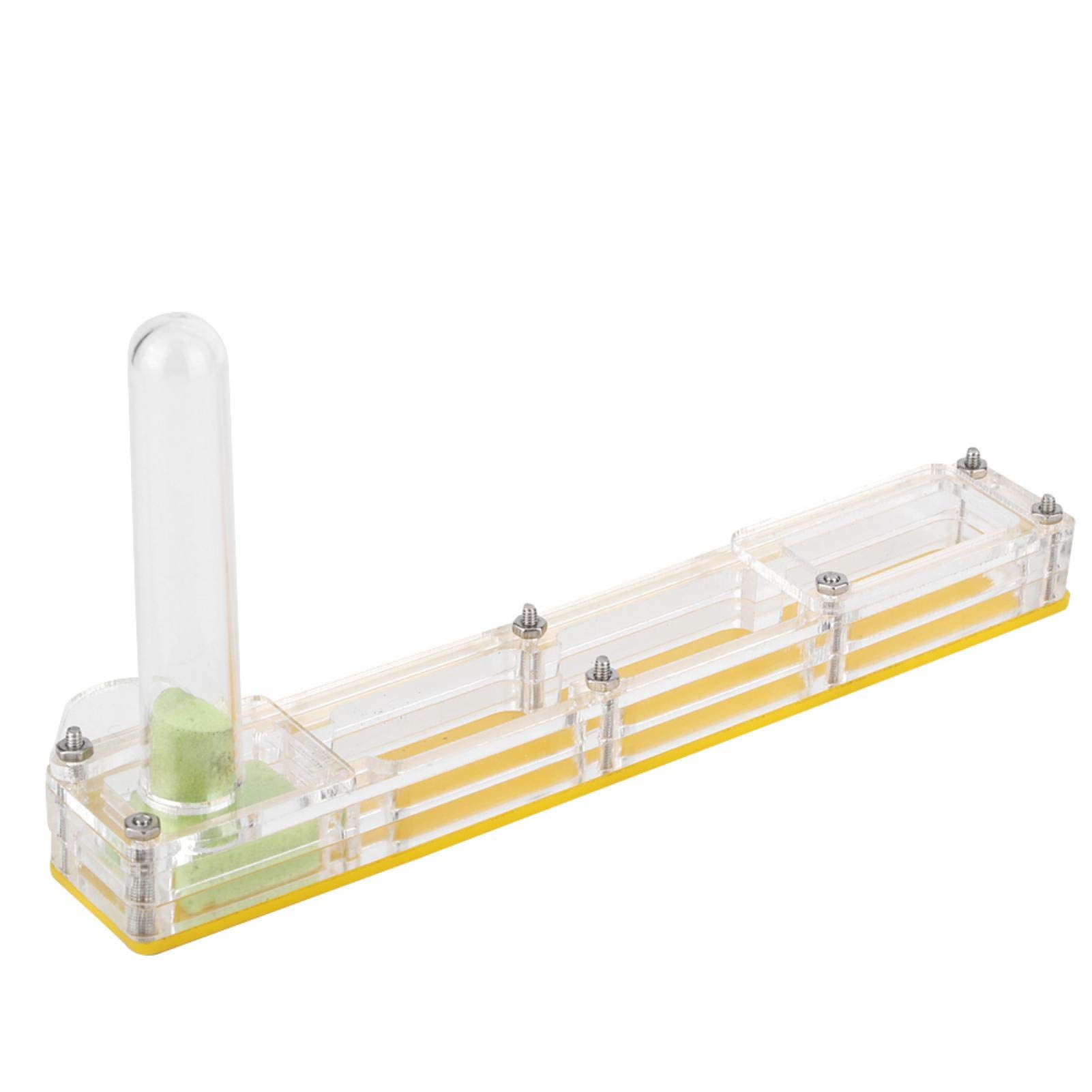 Easy to Install Formicarium Ant Farm with Water Tower - Educational Breeding Box for Kids, Decorative Display Ornament (Yellow Nest) - Perfect for Classroom Science Projects & Home Learning Activities