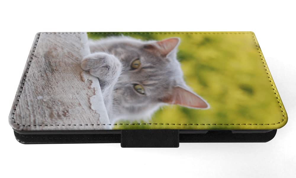 Cute Grey Cat Kitten Feline Flip Wallet Phone Case Cover for Apple iPhone X & iPhone Xs | Slim Protective Card Holder | Perfect for Cat Lovers & Everyday Use