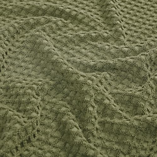 10 Olive