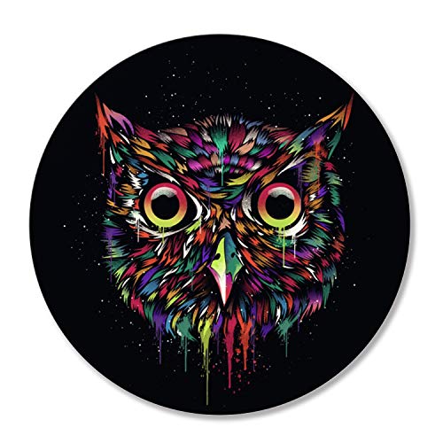 Colorful Owl