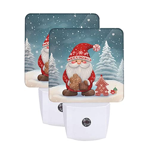 Christmas Gnome